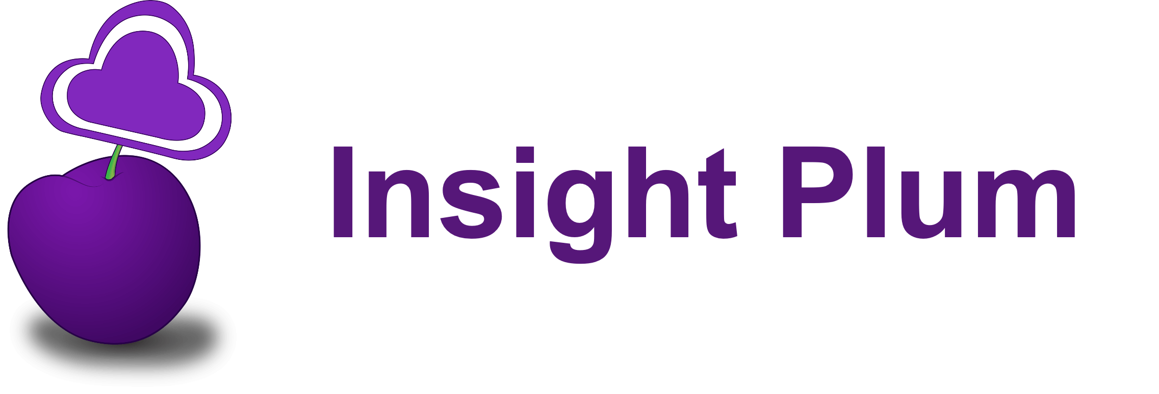 https://2205679.fs1.hubspotusercontent-na1.net/hubfs/2205679/Inisght%20Plum.png
