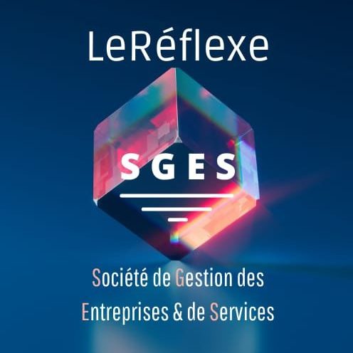 https://2205679.fs1.hubspotusercontent-na1.net/hubfs/2205679/LEREFLEXE%20SAS.logo.jpg