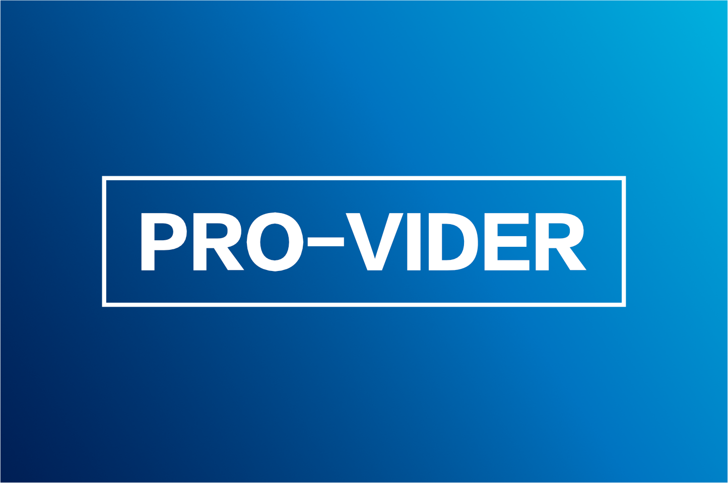 https://2205679.fs1.hubspotusercontent-na1.net/hubfs/2205679/PRO-VIDER%20logo.png